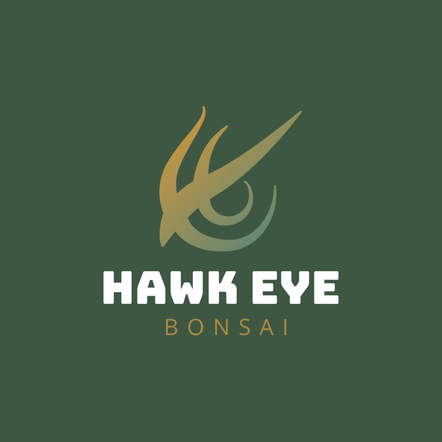 Hawk Eye Bonsai Kristopher Ray Creative Branding Project