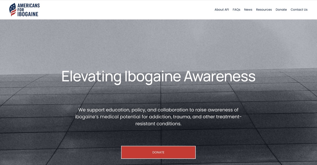 Americans for Ibogaine's original Squarespace homepage before the redesign, with a generic stock photo hero and single donate button